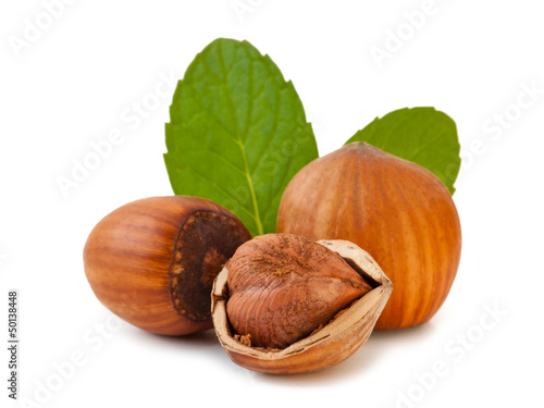 Hazelnuts with leaves_II