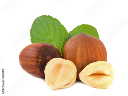 Hazelnuts with leaves_III