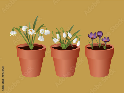 Spring flowerpots