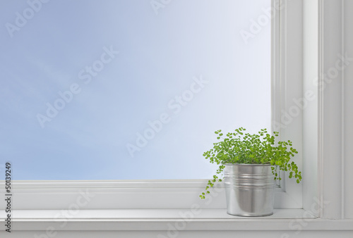Foto Green plant on a window sill, in a modern home