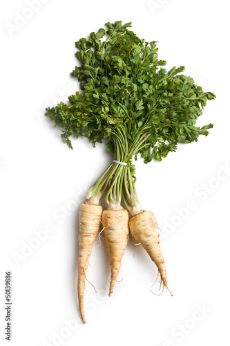 Fotografie fresh parsnip