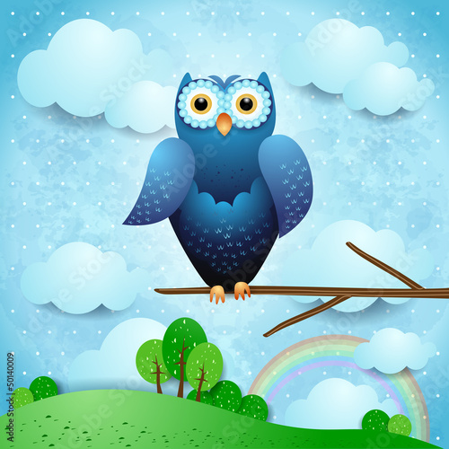 Owl and countryside #50140009