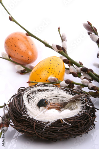 Bird in a nest surrounded by willow twigs