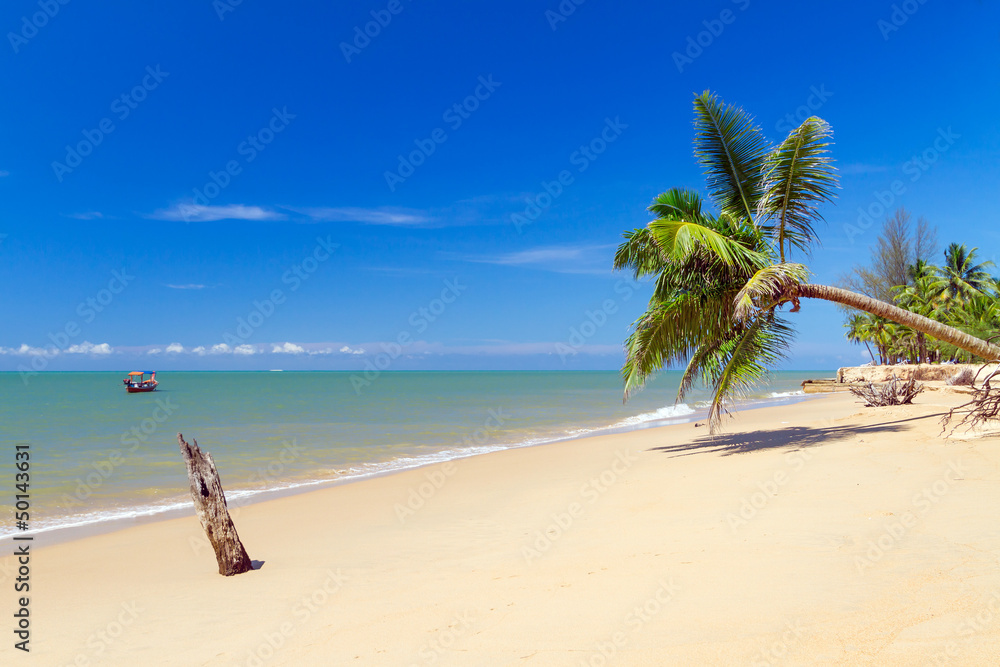Beautiful tropical beach with coconut palm tree in Thailand Beautiful tropical beach with coconut palm tree in Thailand
