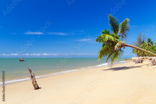 Fototapeta Naklejka Na Ścianę i Meble -  Beautiful tropical beach with coconut palm tree in Thailand