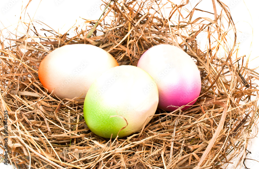Nest full of colorful Easter Eggs