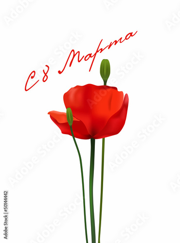 poppies