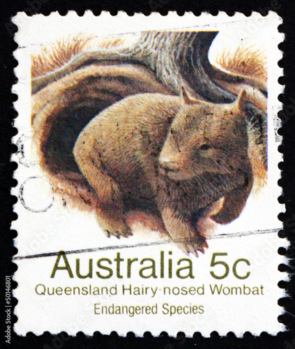 Postage stamp Australia 1981 Queensland Hairy-nosed Wombat photo