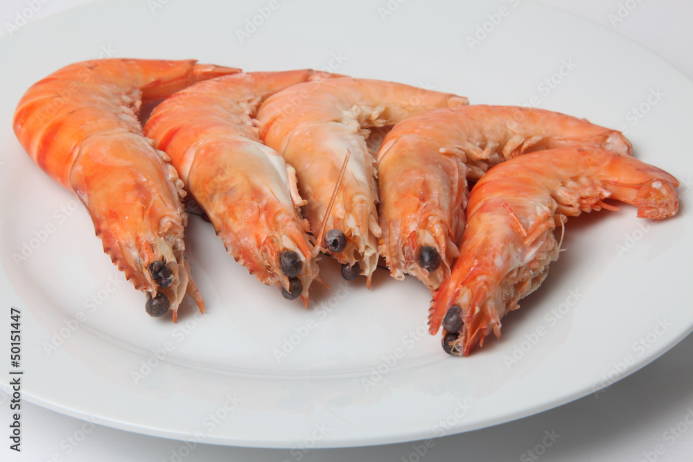 gambas gambas