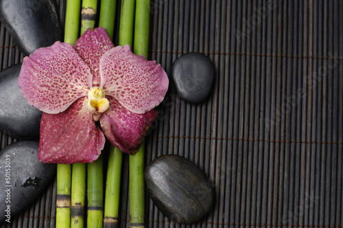 Beautiful orchid with bamboo grove on bamboo stick straw mat