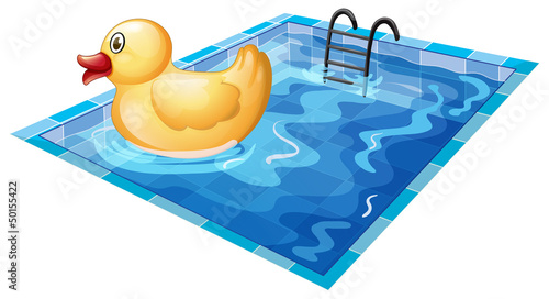 A toy duck at the pool