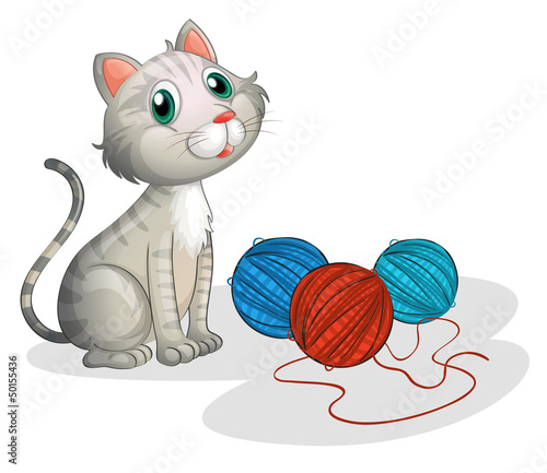 The gray cat with toys