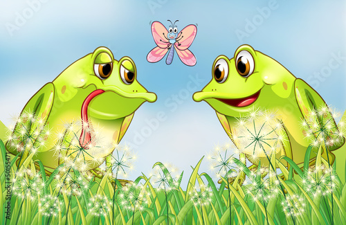 The two frogs and the butterfly