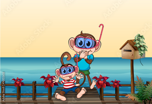 The small and big monkey at the bridge