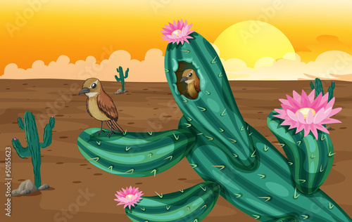 A desert with cactus plants and birds