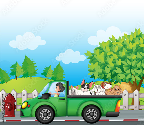 A green car along the street with dogs at the back