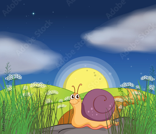 A snail at the hills in the middle of the night