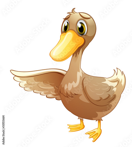 A brown duck