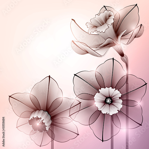 Narcissus pink and transparent