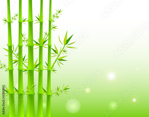 Fototapeta Naklejka Na Ścianę i Meble -  Bamboo Background
