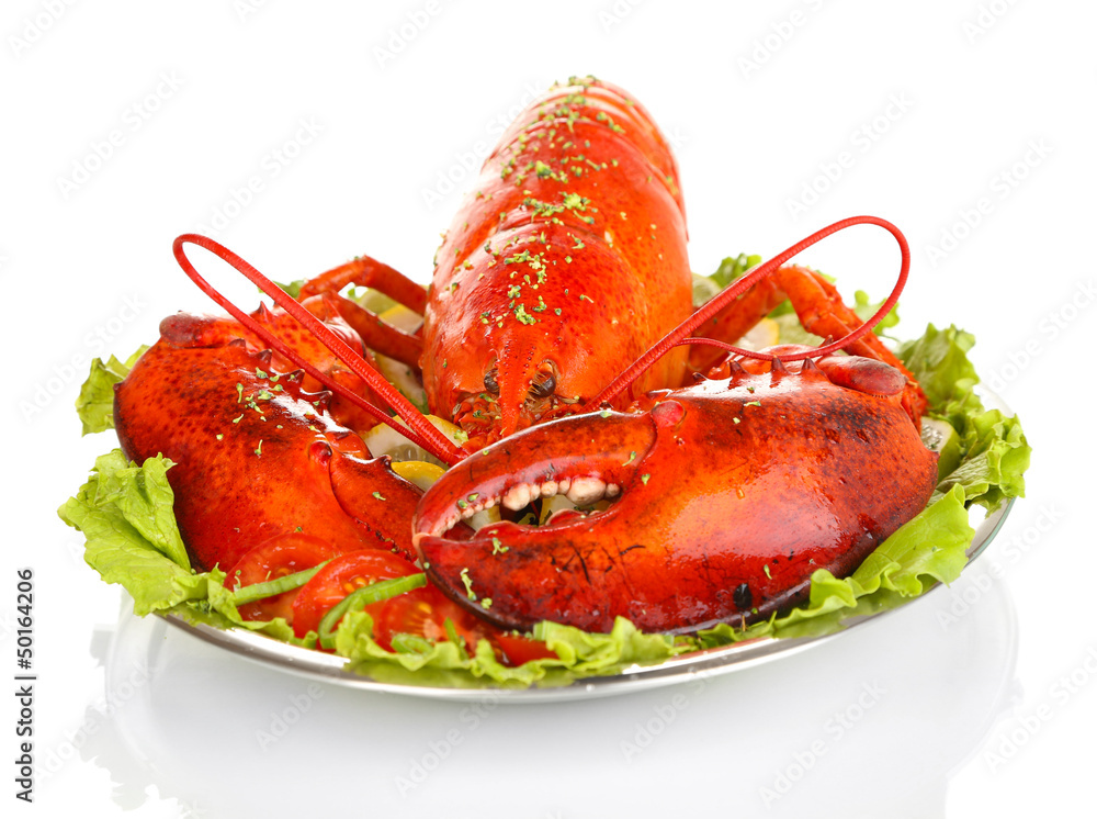Red lobster on platter with vegetables isolated on white Red lobster on platter with vegetables isolated on white