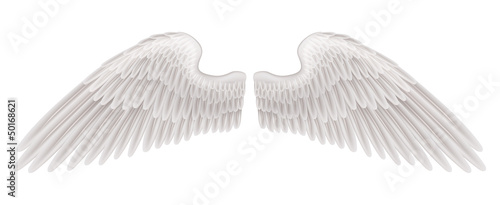 Wings illustration