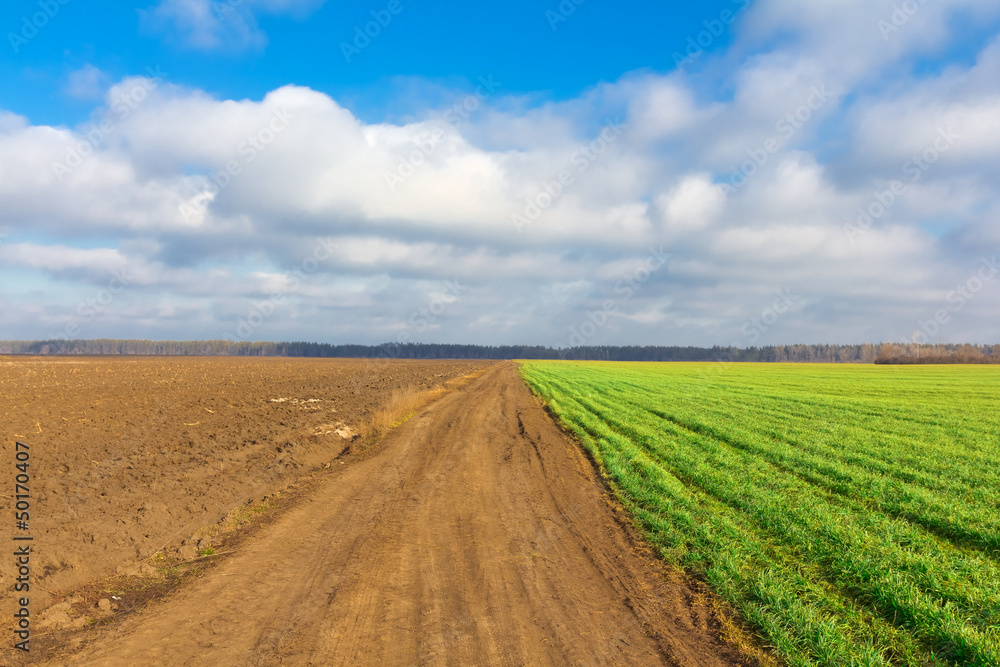 spring rural landscape spring rural landscape
