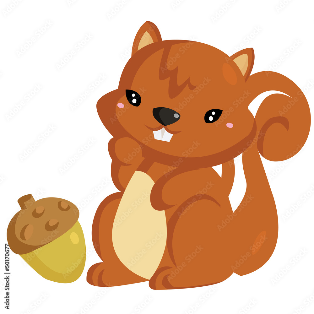 Fototapeta premium Squirrel