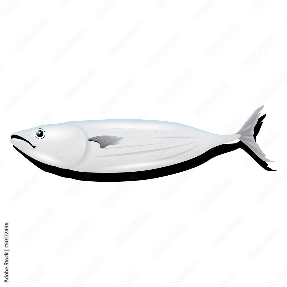 tuna fish vector tuna fish vector