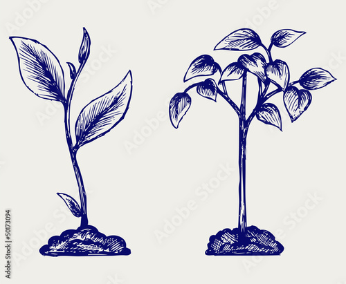 Handful of the ground and plant. Doodle style