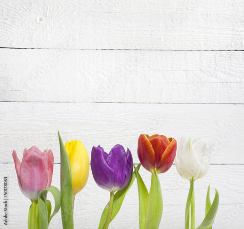 Fototapeta Naklejka Na Ścianę i Meble -  Spring easter colorful tulips on white vintage background planks