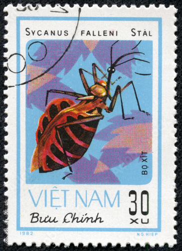 stamp printed in VIETNAM shows sycanus falleni stal photo