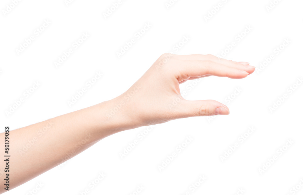Woman's hand holding something Woman's hand holding something