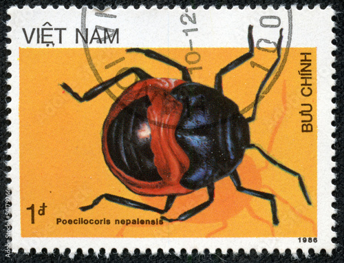 stamp printed in Vietnam shows Poecilocoris nepalensis photo