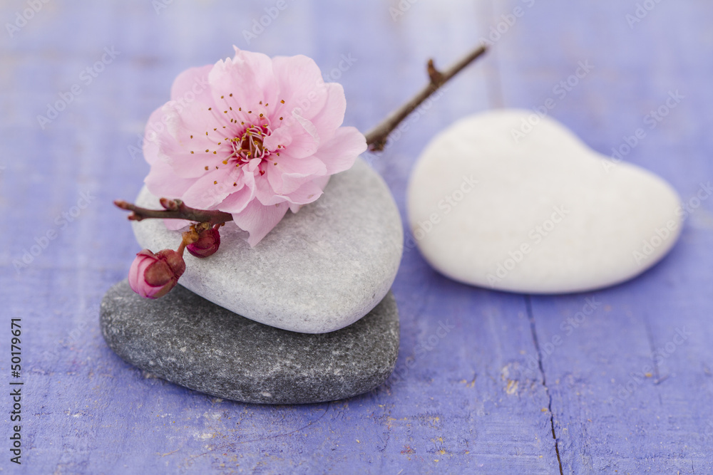 Fototapeta premium galets zen et branche en fleur