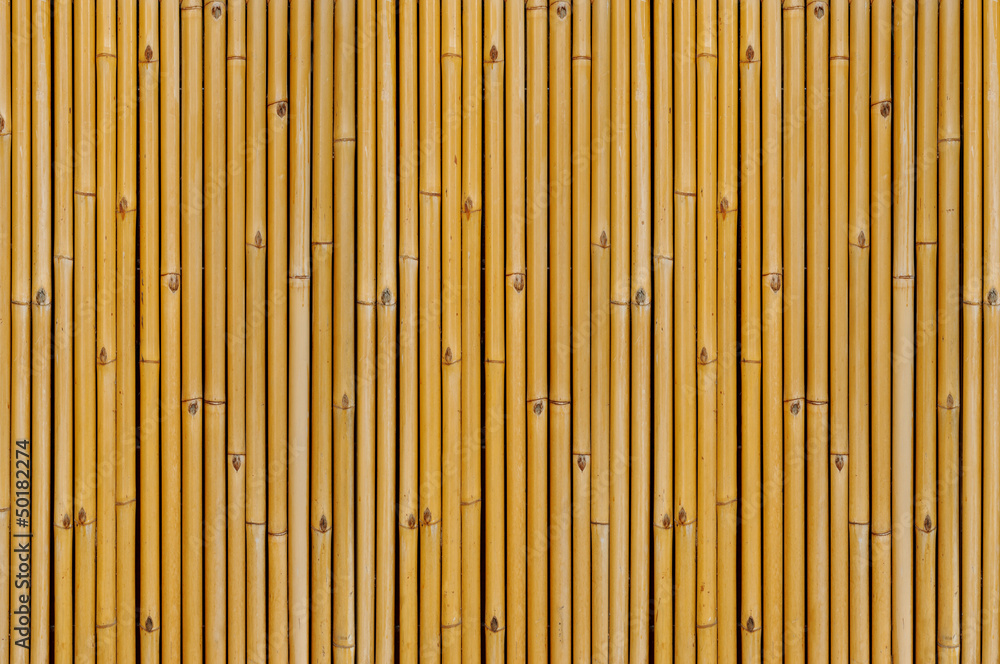 Bamboo background Bamboo background