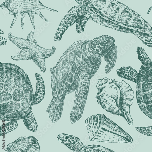 background with a sea turtles