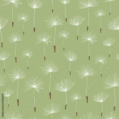 background with dandelion seeds