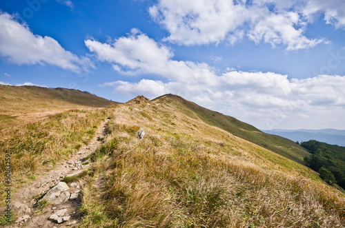 Landscape in Carpathians mountains