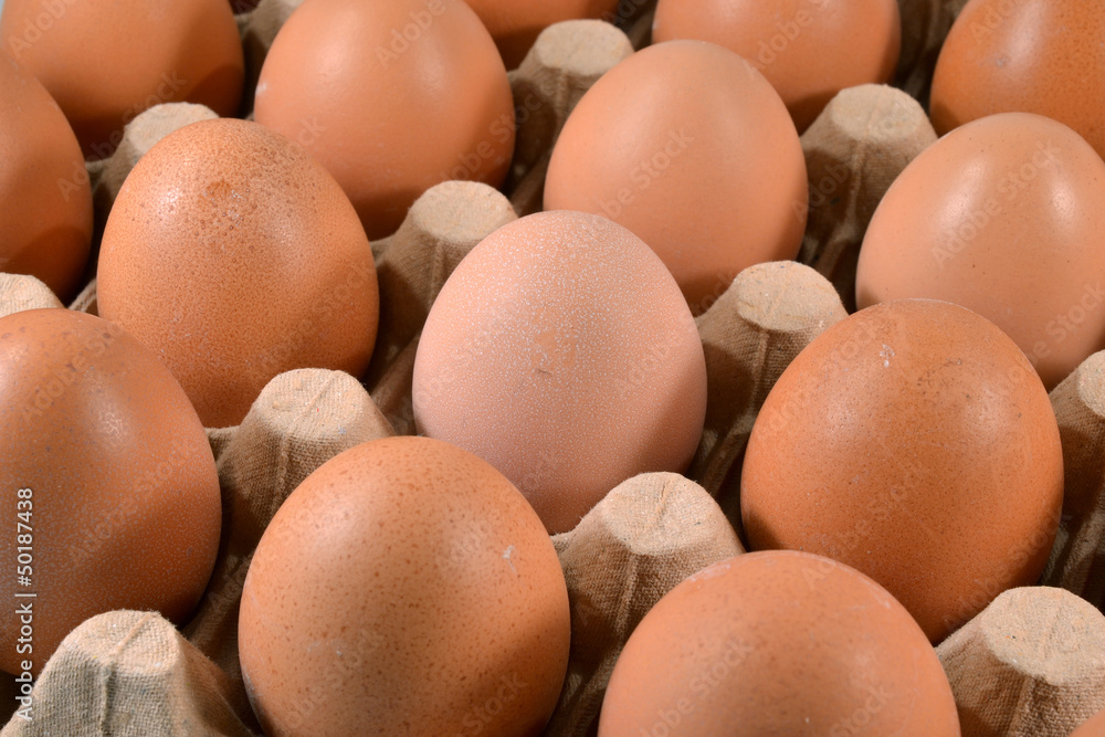 Egg tray with brown free range eggs. Egg tray with brown free range eggs.