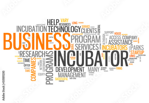 Word Cloud "Business Incubator"