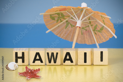 Holidays symbol - Hawaii