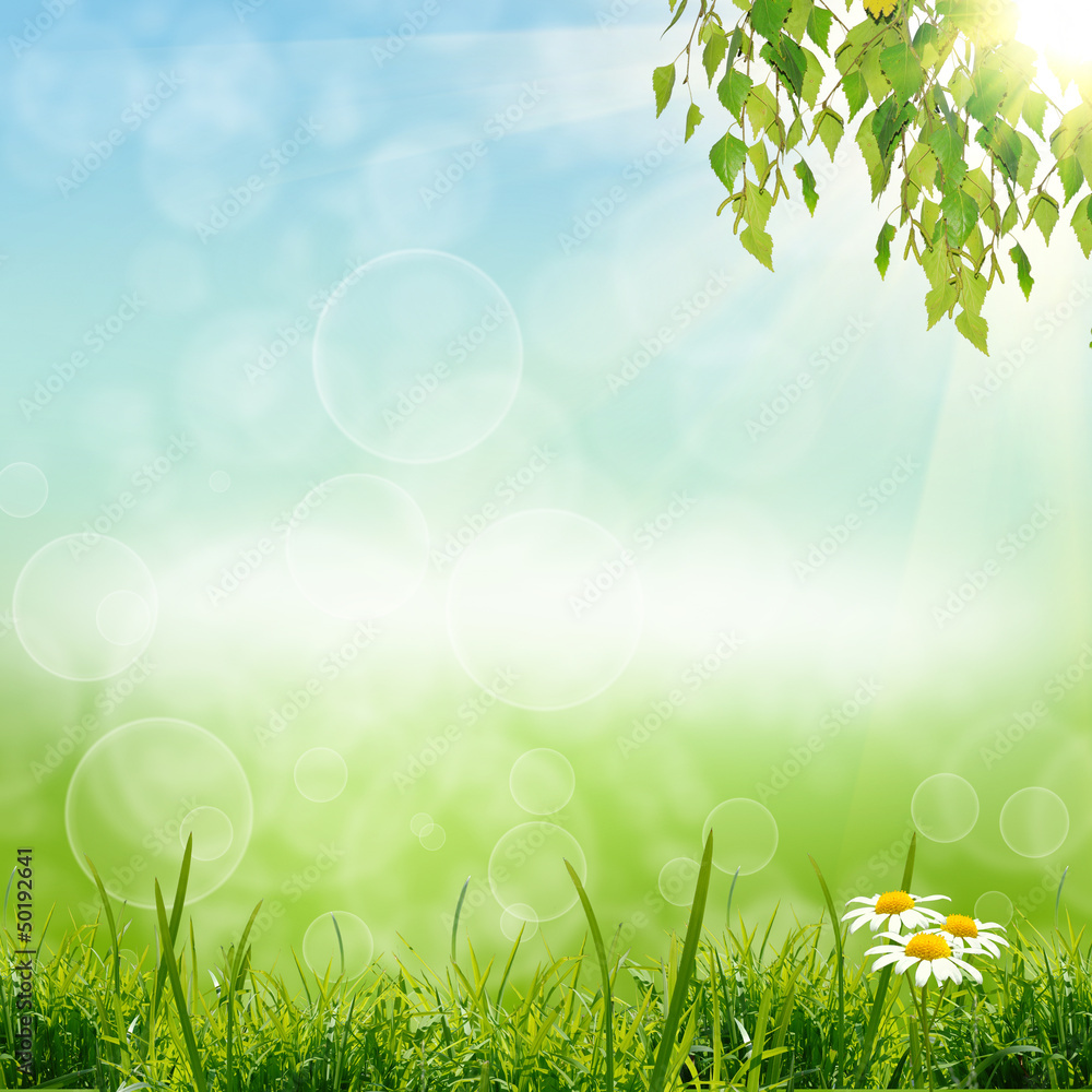 Obraz premium green natute background