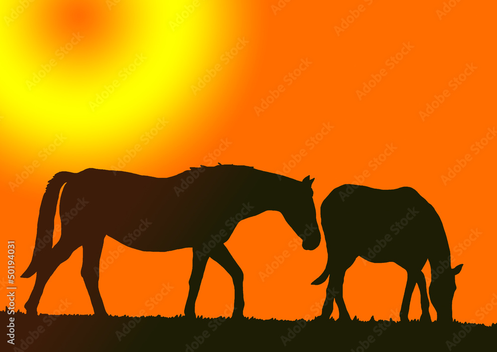 Fototapeta premium cheval couchant