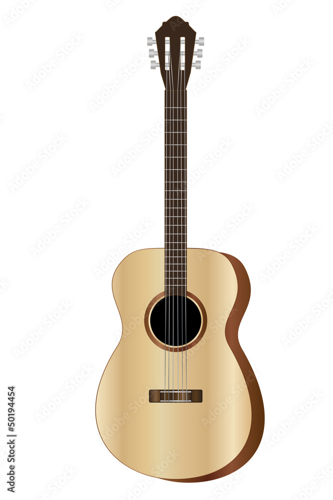 Obraz premium acoustic guitar vector