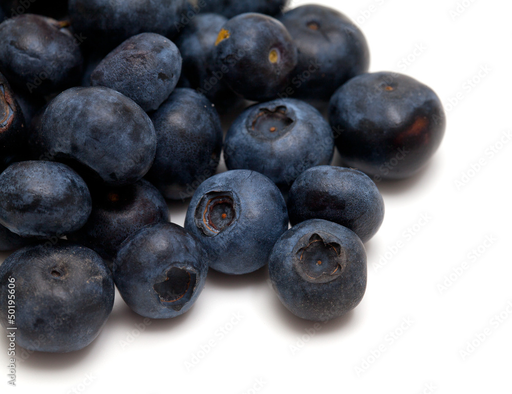 blueberries isolated on white background blueberries isolated on white background
