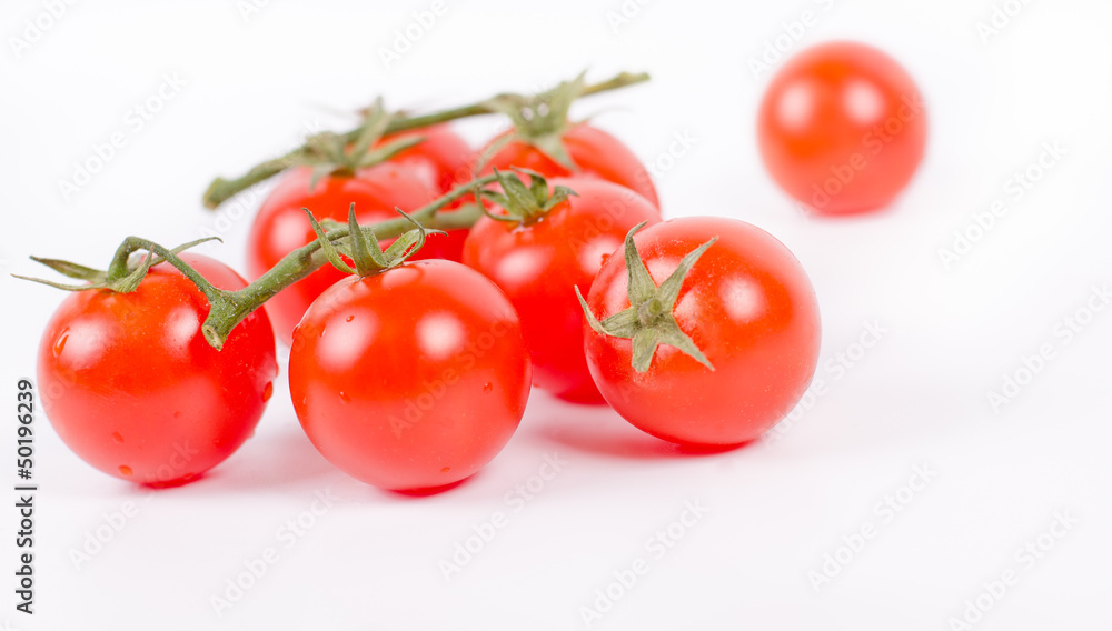 Cherry Tomatoes on Branch Isolated White Cherry Tomatoes on Branch Isolated White