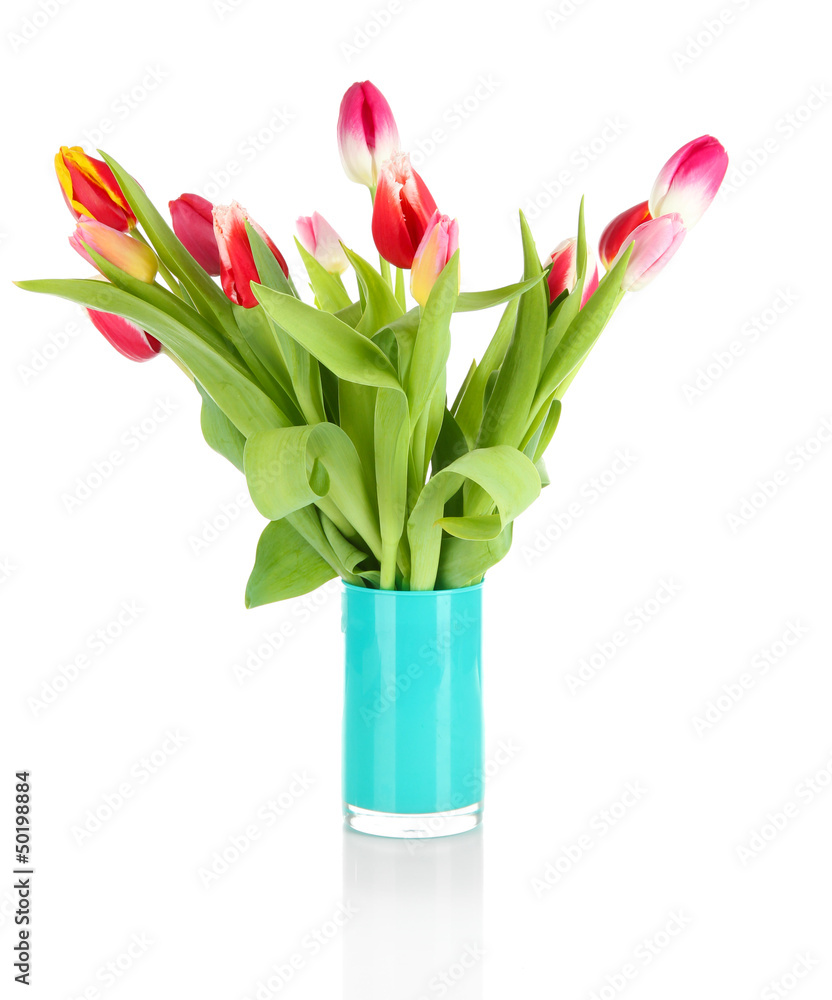 Beautiful tulips in bucket isolated on white Beautiful tulips in bucket isolated on white