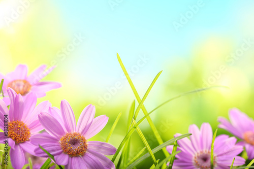 Fototapeta Naklejka Na Ścianę i Meble -  Natural background