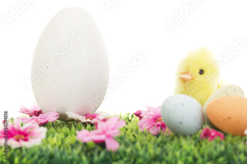 Chick on grass with flowers and easter eggs